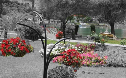 Gratitude practice of noticing, feeling and expressing in nature